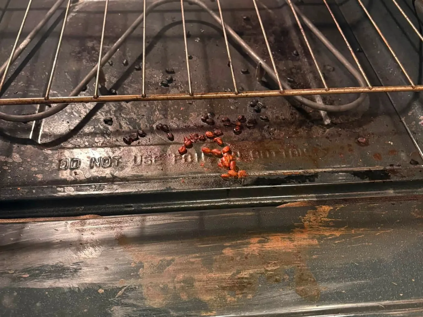 The inside of an oven before cleaning: burnt-on debris across the floor and racks.